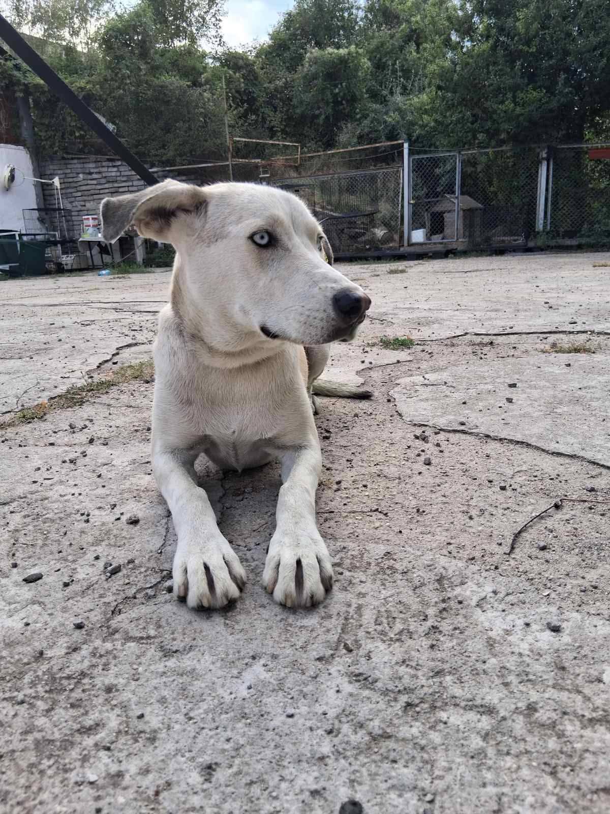 Krasivi ochi 3